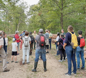 Ma Ville Respire Tous en Forêt 2024 Office National des Forêts ONF