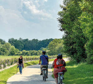 Ma Ville Respire Augmentation Kilomètres Pistes Cyclables Mobilités Douces Vélo