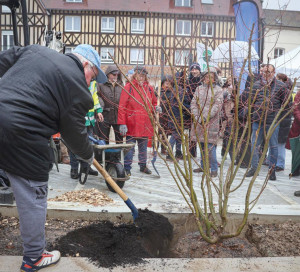 Ma Ville Respire Plantation Citoyenne Arbres Parc Naturel Urbain Fonderie 14.12.2024