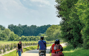 Ma Ville Respire Augmentation Kilomètres Pistes Cyclables Mobilités Douces Vélo