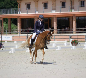 Sports CSADN Equitation Championants Départemental